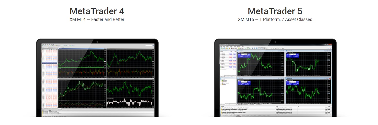 In our XM Broker review, we've found that it offers both MT4 and MT5 platforms.